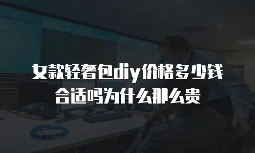 女款轻奢包diy价格多少钱合适吗为什么那么贵