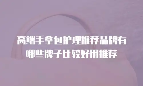 高端手拿包护理推荐品牌有哪些牌子比较好用推荐