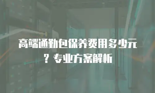 高端通勤包保养费用多少元？专业方案解析
