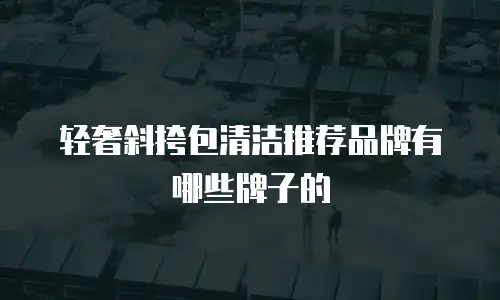 轻奢斜挎包清洁推荐品牌有哪些牌子的