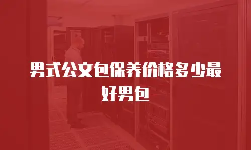 男式公文包保养价格多少最好男包