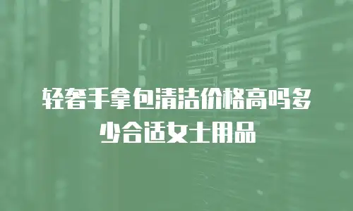 轻奢手拿包清洁价格高吗多少合适女士用品