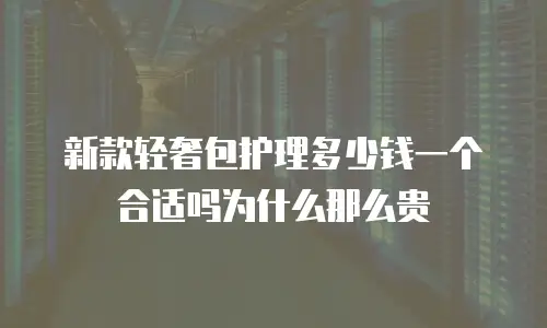 新款轻奢包护理多少钱一个合适吗为什么那么贵