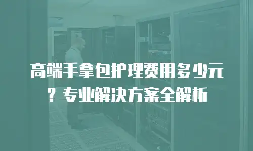 高端手拿包护理费用多少元？专业解决方案全解析