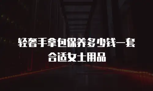 轻奢手拿包保养多少钱一套合适女士用品