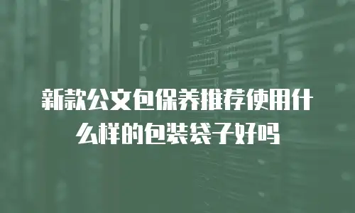 新款公文包保养推荐使用什么样的包装袋子好吗