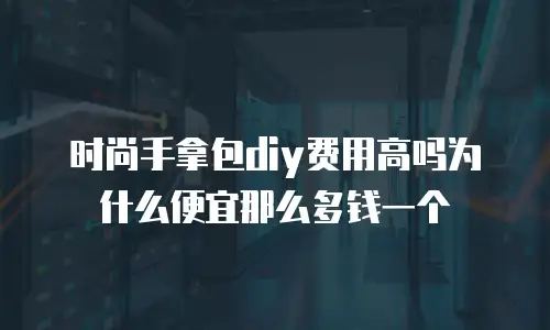 时尚手拿包diy费用高吗为什么便宜那么多钱一个