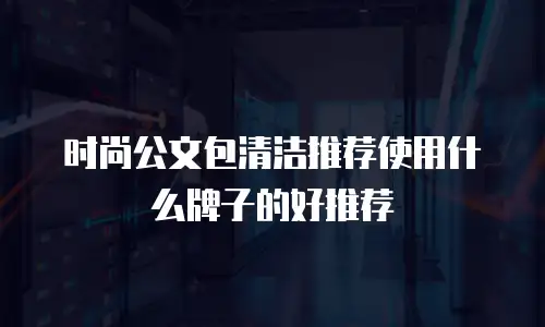 时尚公文包清洁推荐使用什么牌子的好推荐