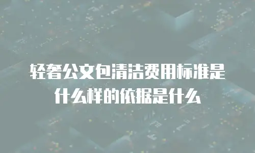 轻奢公文包清洁费用标准是什么样的依据是什么