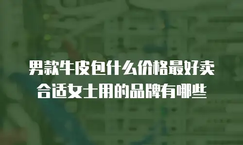 男款牛皮包什么价格最好卖合适女士用的品牌有哪些