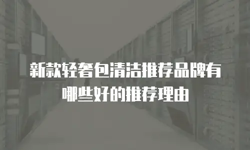 新款轻奢包清洁推荐品牌有哪些好的推荐理由