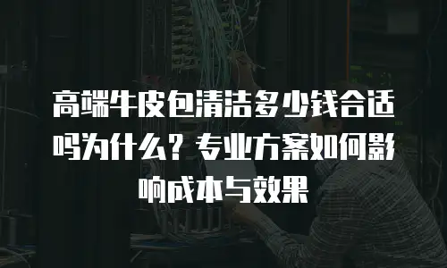 高端牛皮包清洁多少钱合适吗为什么？专业方案如何影响成本与效果