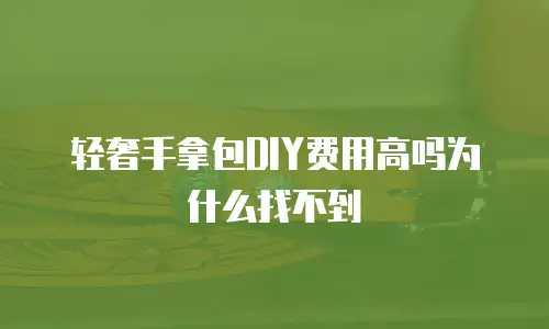 轻奢手拿包DIY费用高吗为什么找不到