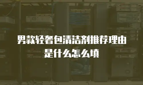 男款轻奢包清洁剂推荐理由是什么怎么填
