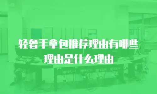 轻奢手拿包推荐理由有哪些理由是什么理由