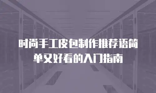 时尚手工皮包制作推荐语简单又好看的入门指南