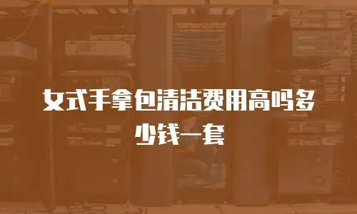 女式手拿包清洁费用高吗多少钱一套