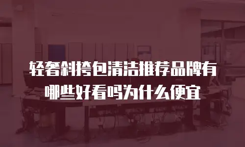 轻奢斜挎包清洁推荐品牌有哪些好看吗为什么便宜