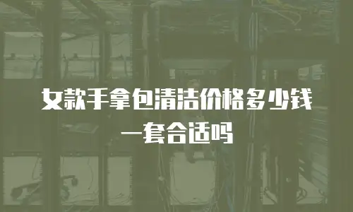 女款手拿包清洁价格多少钱一套合适吗