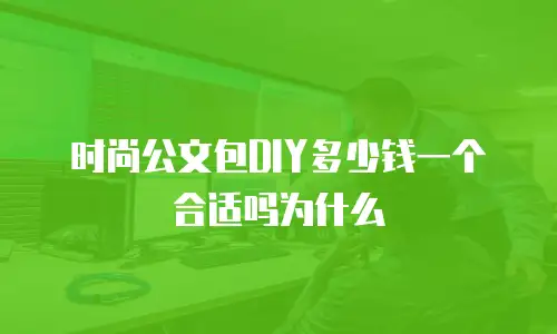 时尚公文包DIY多少钱一个合适吗为什么