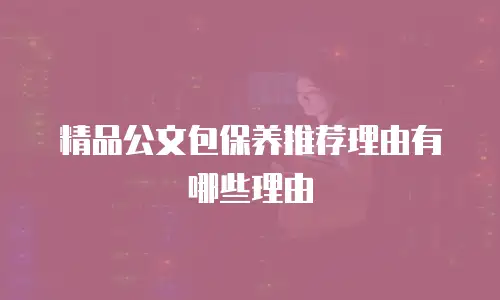 精品公文包保养推荐理由有哪些理由