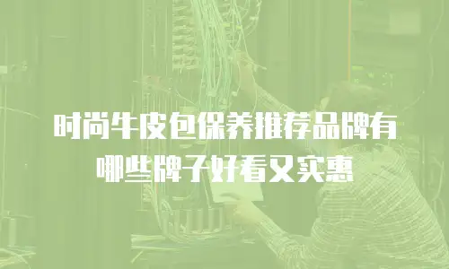 时尚牛皮包保养推荐品牌有哪些牌子好看又实惠