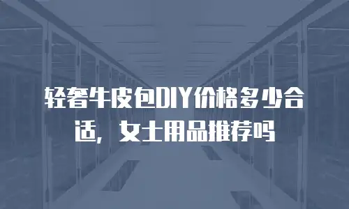 轻奢牛皮包DIY价格多少合适，女士用品推荐吗