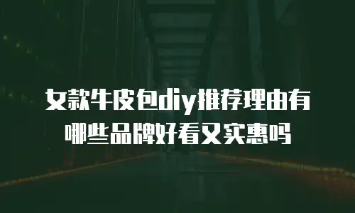 女款牛皮包diy推荐理由有哪些品牌好看又实惠吗