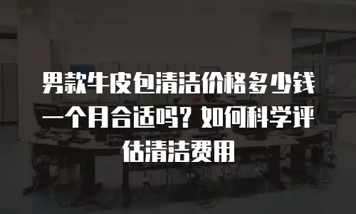 男款牛皮包清洁价格多少钱一个月合适吗？如何科学评估清洁费用