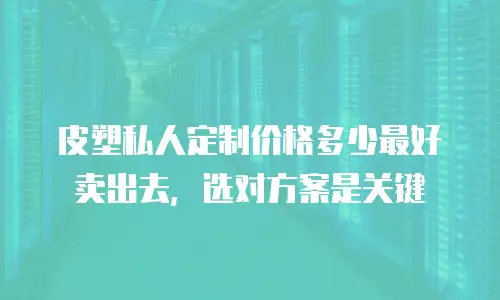 皮塑私人定制价格多少最好卖出去，选对方案是关键