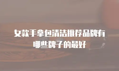女款手拿包清洁推荐品牌有哪些牌子的最好