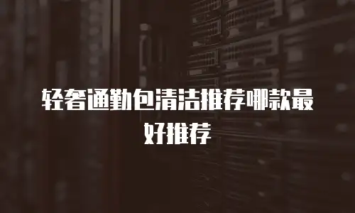 轻奢通勤包清洁推荐哪款最好推荐