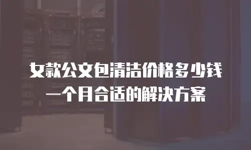女款公文包清洁价格多少钱一个月合适的解决方案