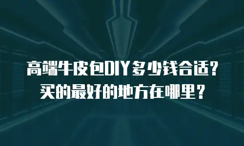 高端牛皮包DIY多少钱合适？买的最好的地方在哪里？