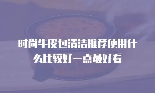 时尚牛皮包清洁推荐使用什么比较好一点最好看