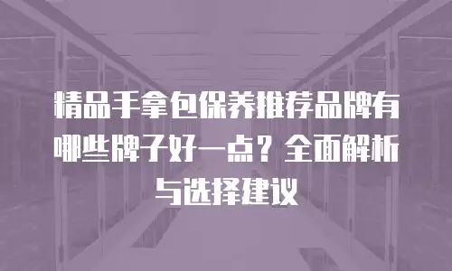 精品手拿包保养推荐品牌有哪些牌子好一点？全面解析与选择建议