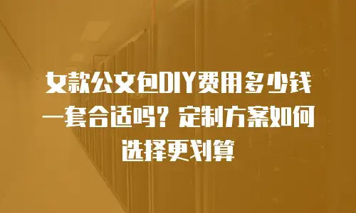 女款公文包DIY费用多少钱一套合适吗？定制方案如何选择更划算