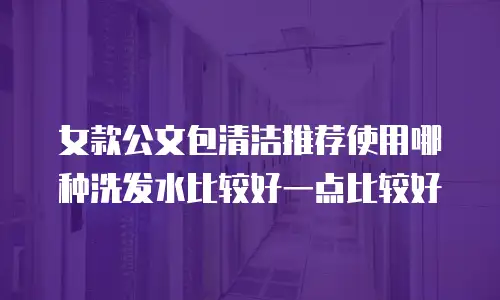 女款公文包清洁推荐使用哪种洗发水比较好一点比较好