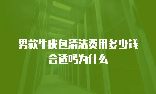 男款牛皮包清洁费用多少钱合适吗为什么