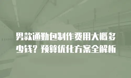 男款通勤包制作费用大概多少钱？预算优化方案全解析