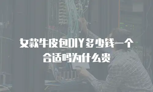 女款牛皮包DIY多少钱一个合适吗为什么贵