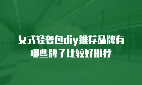 女式轻奢包diy推荐品牌有哪些牌子比较好推荐