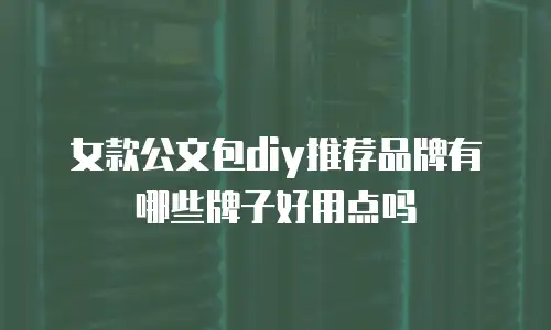 女款公文包diy推荐品牌有哪些牌子好用点吗