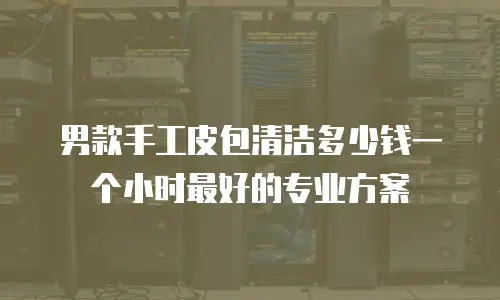男款手工皮包清洁多少钱一个小时最好的专业方案