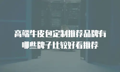 高端牛皮包定制推荐品牌有哪些牌子比较好看推荐