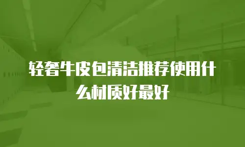 轻奢牛皮包清洁推荐使用什么材质好最好