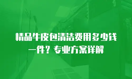 精品牛皮包清洁费用多少钱一件？专业方案详解