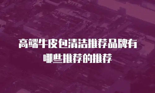 高端牛皮包清洁推荐品牌有哪些推荐的推荐