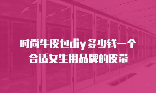 时尚牛皮包diy多少钱一个合适女生用品牌的皮带