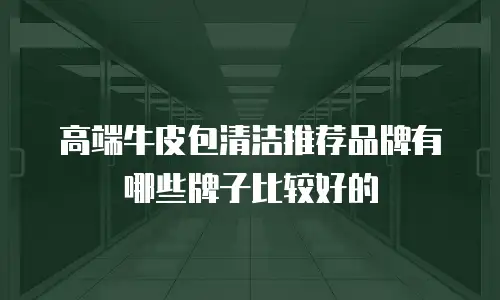 高端牛皮包清洁推荐品牌有哪些牌子比较好的